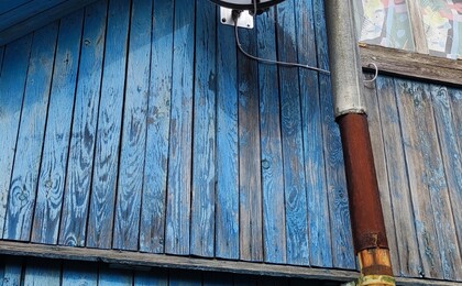 СТ Дубовый лес Триколор UHD за 75р в год 240 каналов